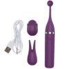 type-1-purple