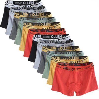 6pieces Mens Underwear Men Cotton Underpants Male Pure Men Panties Shorts Breathable Boxer Shorts Comfortable soft Plus size 1