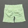palm-green